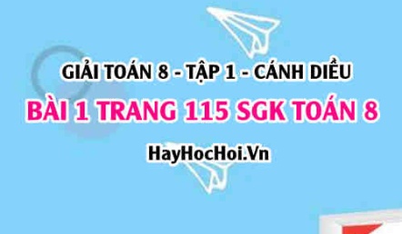 Giải bài 1 trang 115 Toán 8 Tập 1 SGK Cánh Diều